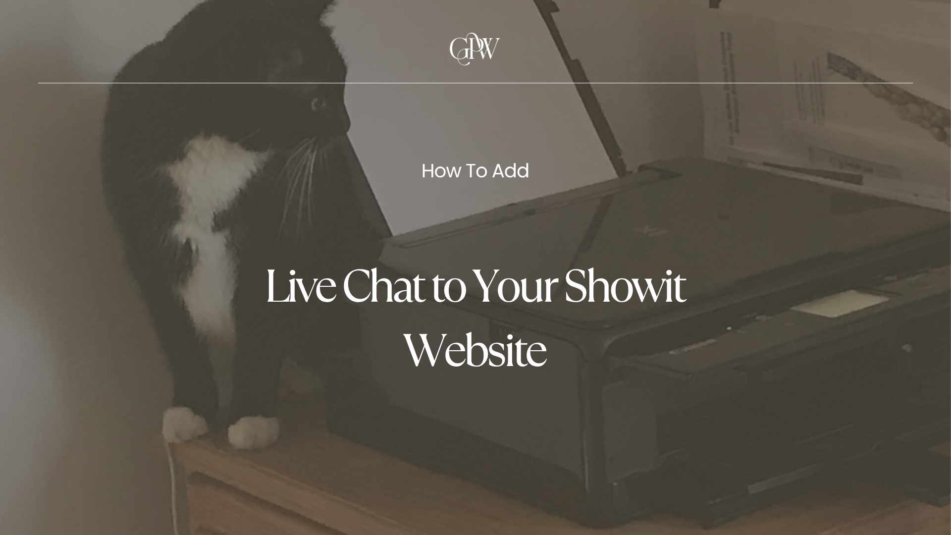 How to Add Live Chat to Your Showit Website